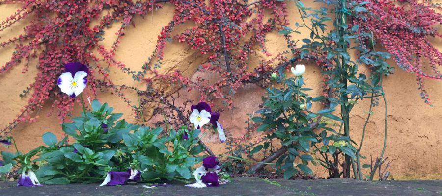 particolare del cortile